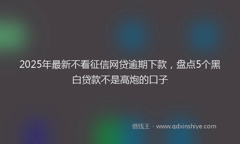 2025年最新不看征信网贷逾期下款，盘点5个黑白贷款不是高炮的口子