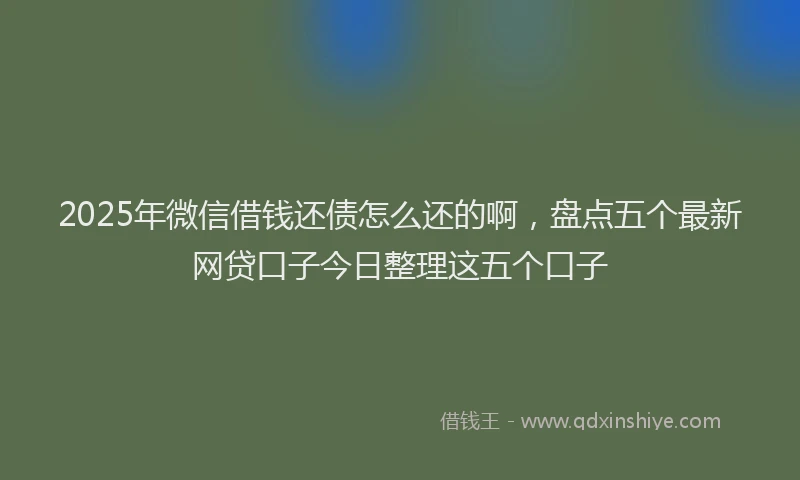 2025年微信借钱还债怎么还的啊，盘点五个最新网贷口子今日整理这五个口子
