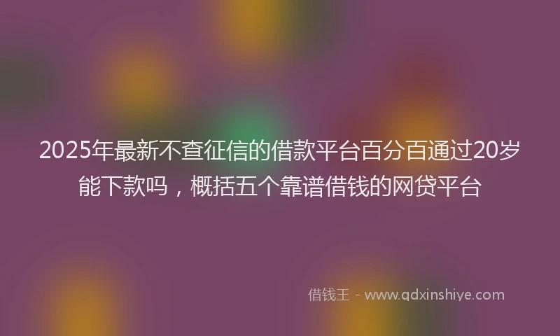 2025年最新不查征信的借款平台百分百通过20岁能下款吗，概括五个靠谱借钱的网贷平台