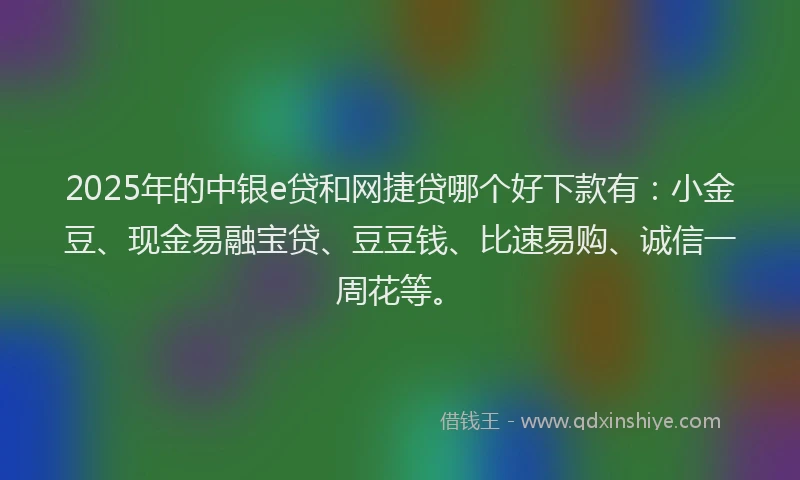 2025年的中银e贷和网捷贷哪个好下款有：小金豆、现金易融宝贷、豆豆钱、比速易购、诚信一周花等。