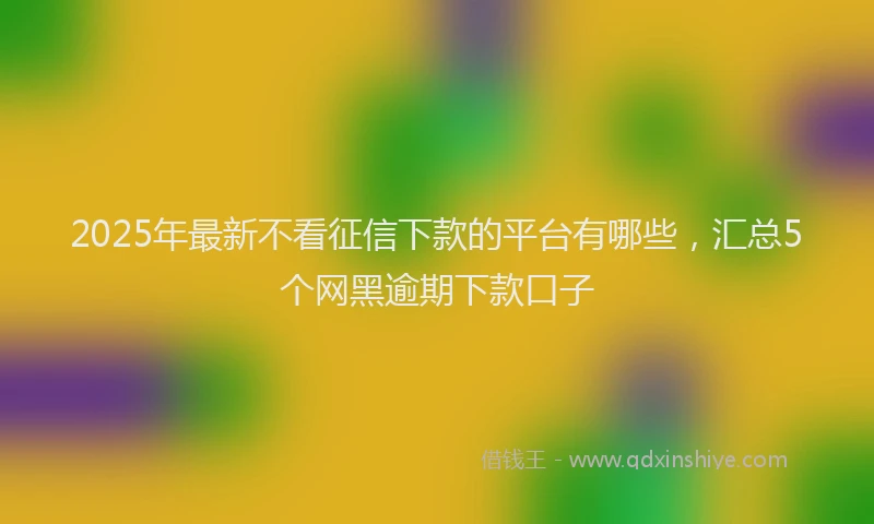 2025年最新不看征信下款的平台有哪些，汇总5个网黑逾期下款口子