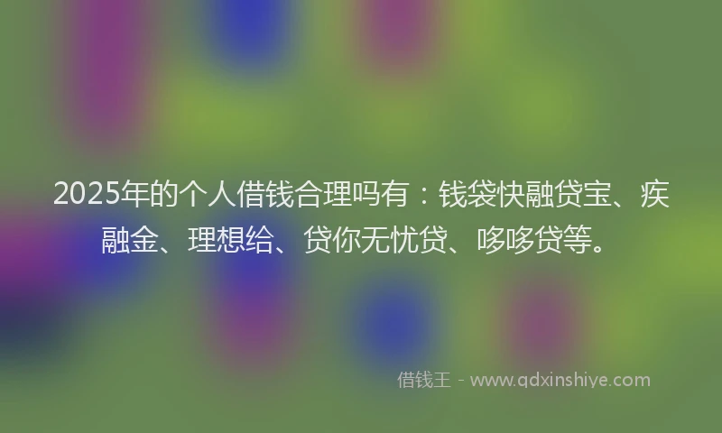 2025年的个人借钱合理吗有：钱袋快融贷宝、疾融金、理想给、贷你无忧贷、哆哆贷等。