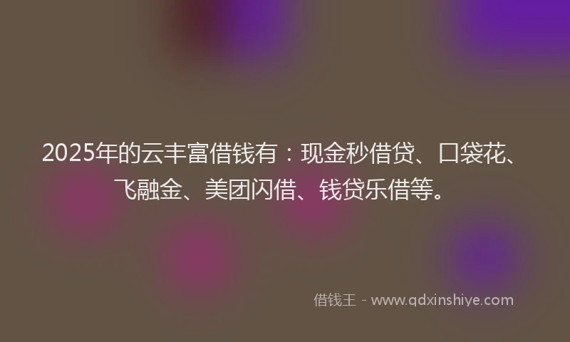 2025年的云丰富借钱有：现金秒借贷、口袋花、飞融金、美团闪借、钱贷乐借等。