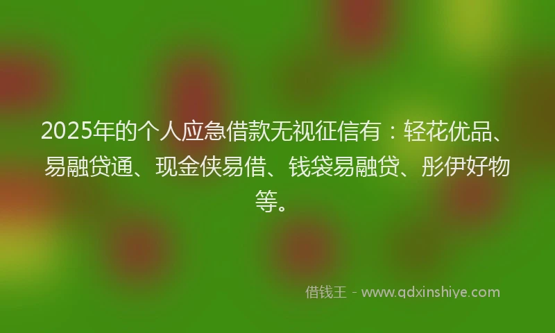 2025年的个人应急借款无视征信有：轻花优品、易融贷通、现金侠易借、钱袋易融贷、彤伊好物等。