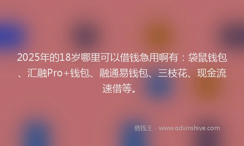 2025年的18岁哪里可以借钱急用啊有：袋鼠钱包、汇融Pro+钱包、融通易钱包、三枝花、现金流速借等。