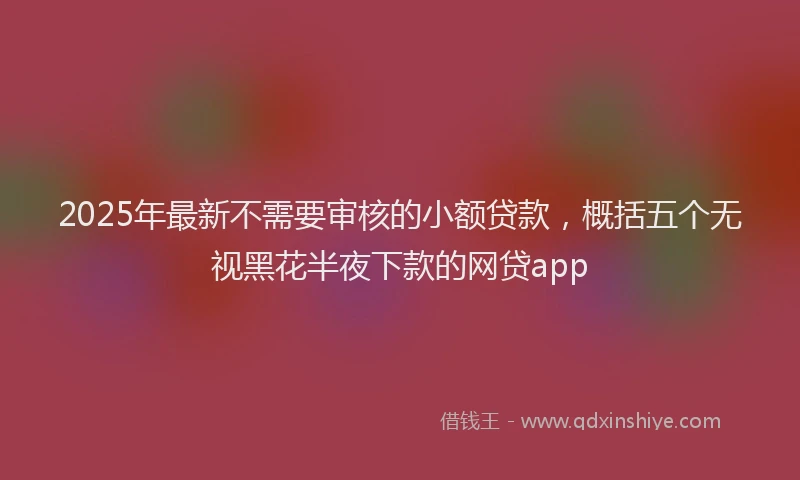 2025年最新不需要审核的小额贷款，概括五个无视黑花半夜下款的网贷app