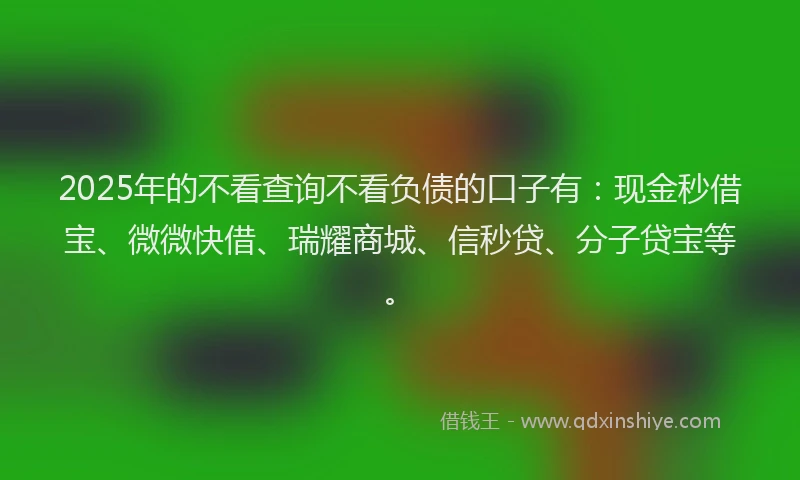 2025年的不看查询不看负债的口子有：现金秒借宝、微微快借、瑞耀商城、信秒贷、分子贷宝等。