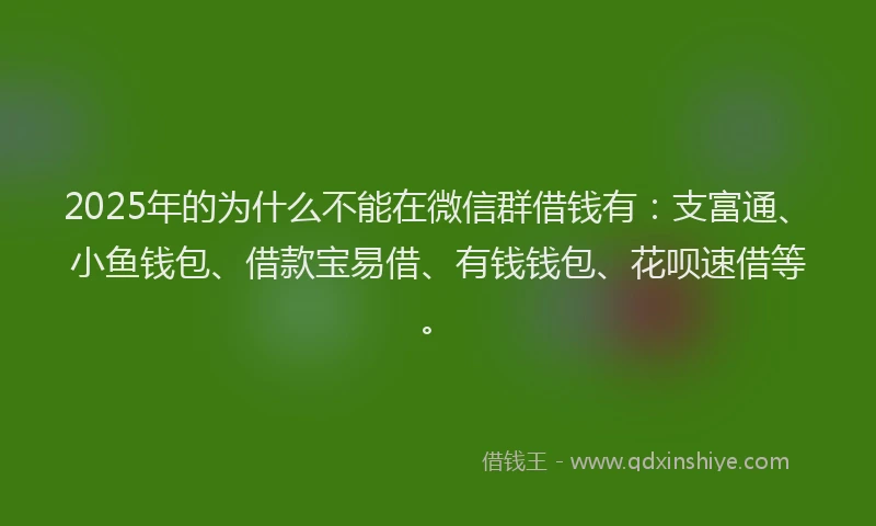 2025年的为什么不能在微信群借钱有：支富通、小鱼钱包、借款宝易借、有钱钱包、花呗速借等。