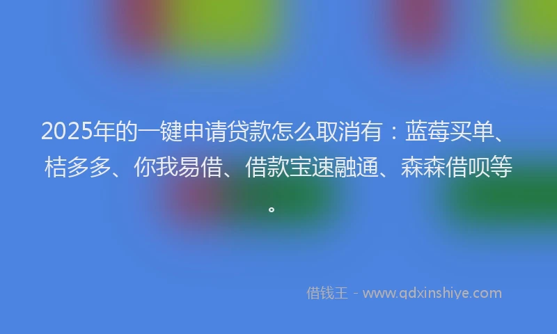 2025年的一键申请贷款怎么取消有：蓝莓买单、桔多多、你我易借、借款宝速融通、森森借呗等。