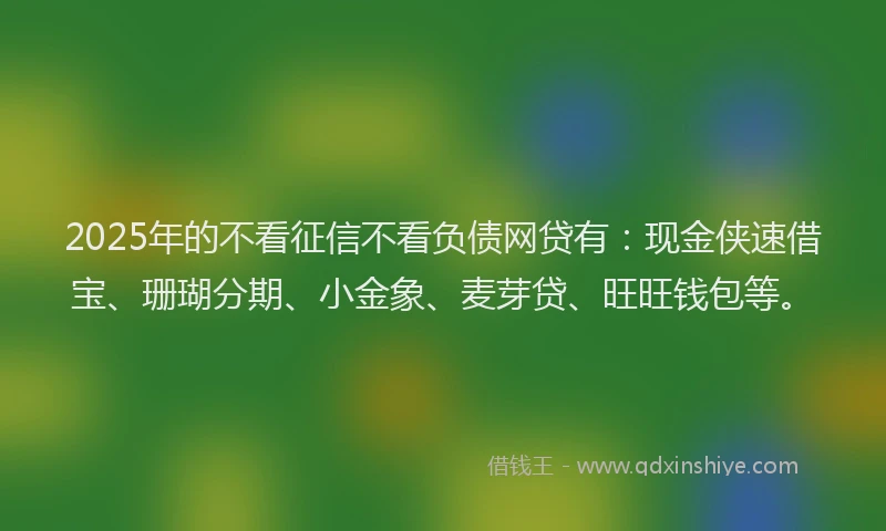 2025年的不看征信不看负债网贷有：现金侠速借宝、珊瑚分期、小金象、麦芽贷、旺旺钱包等。