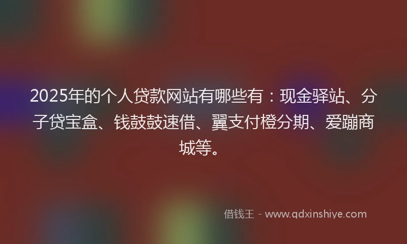 2025年的个人贷款网站有哪些有：现金驿站、分子贷宝盒、钱鼓鼓速借、翼支付橙分期、爱蹦商城等。