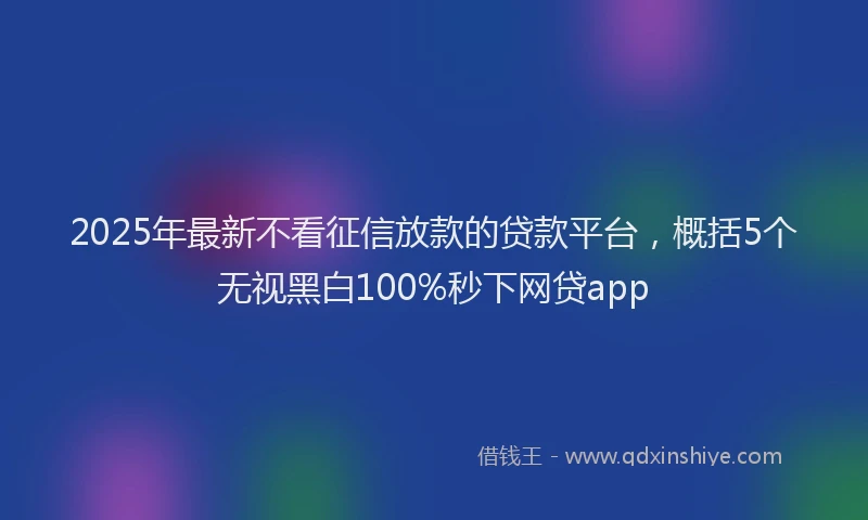 2025年最新不看征信放款的贷款平台，概括5个无视黑白100%秒下网贷app