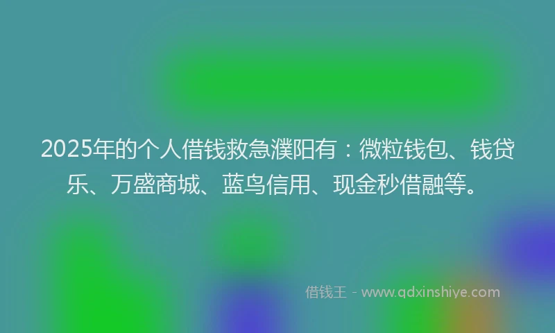 2025年的个人借钱救急濮阳有：微粒钱包、钱贷乐、万盛商城、蓝鸟信用、现金秒借融等。