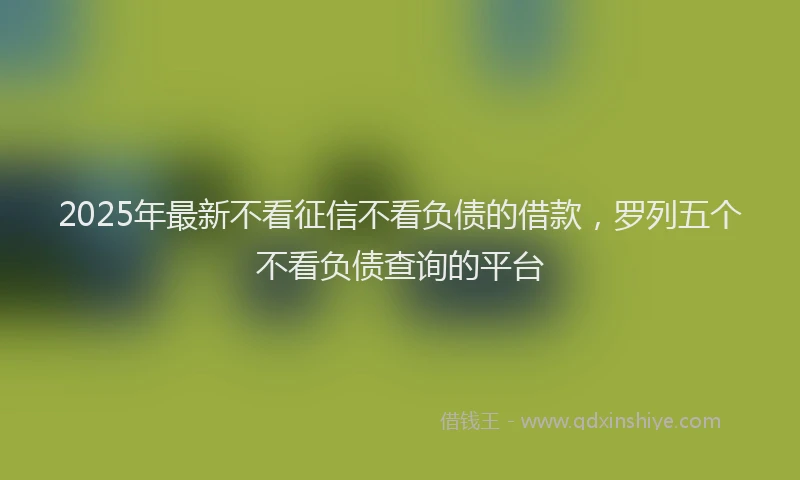 2025年最新不看征信不看负债的借款，罗列五个不看负债查询的平台