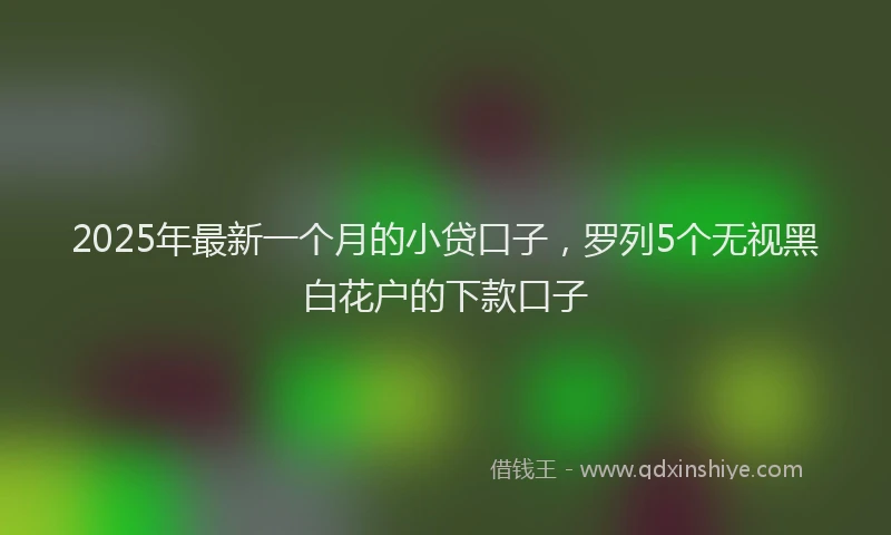 2025年最新一个月的小贷口子，罗列5个无视黑白花户的下款口子