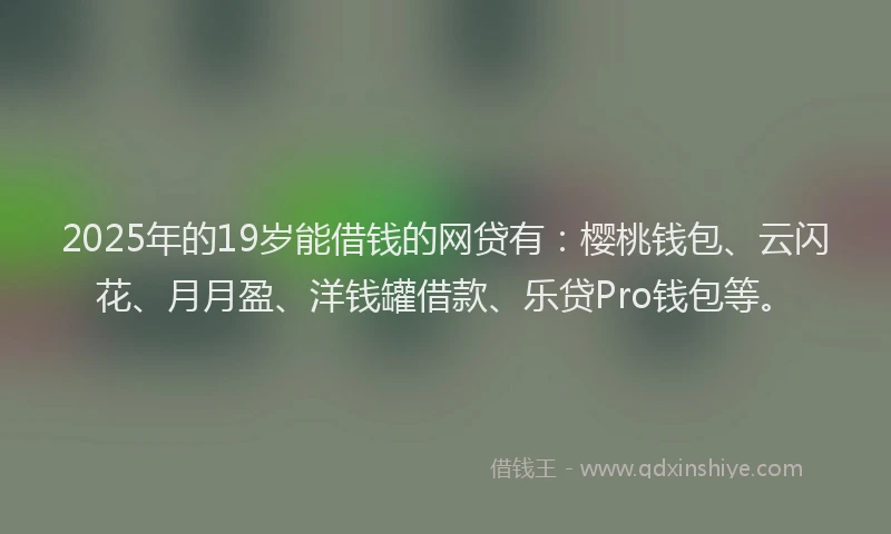 2025年的19岁能借钱的网贷有：樱桃钱包、云闪花、月月盈、洋钱罐借款、乐贷Pro钱包等。
