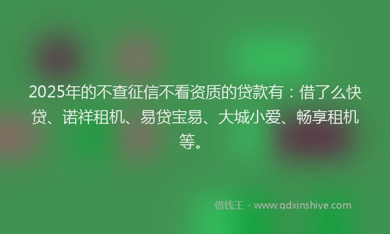 2025年的不查征信不看资质的贷款有：借了么快贷、诺祥租机、易贷宝易、大城小爱、畅享租机等。