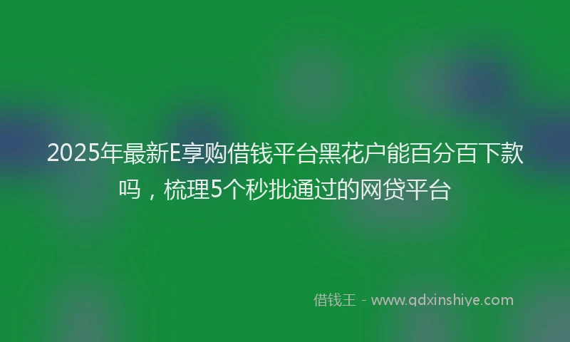2025年最新E享购借钱平台黑花户能百分百下款吗，梳理5个秒批通过的网贷平台