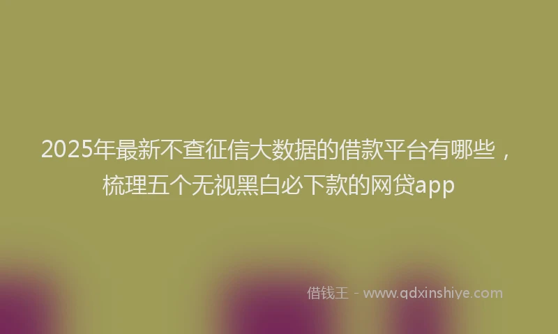 2025年最新不查征信大数据的借款平台有哪些，梳理五个无视黑白必下款的网贷app