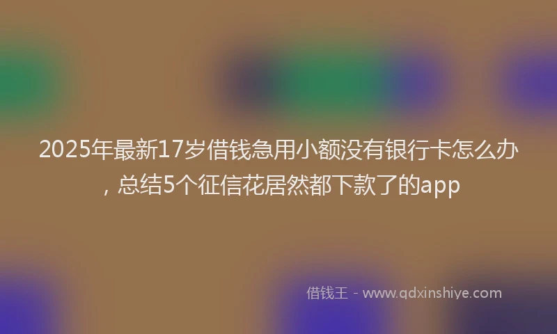 2025年最新17岁借钱急用小额没有银行卡怎么办，总结5个征信花居然都下款了的app