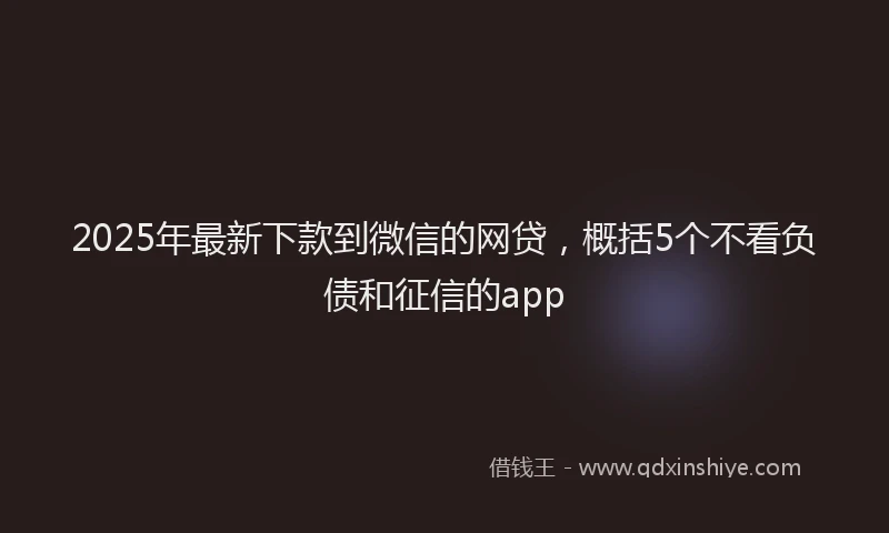2025年最新下款到微信的网贷，概括5个不看负债和征信的app