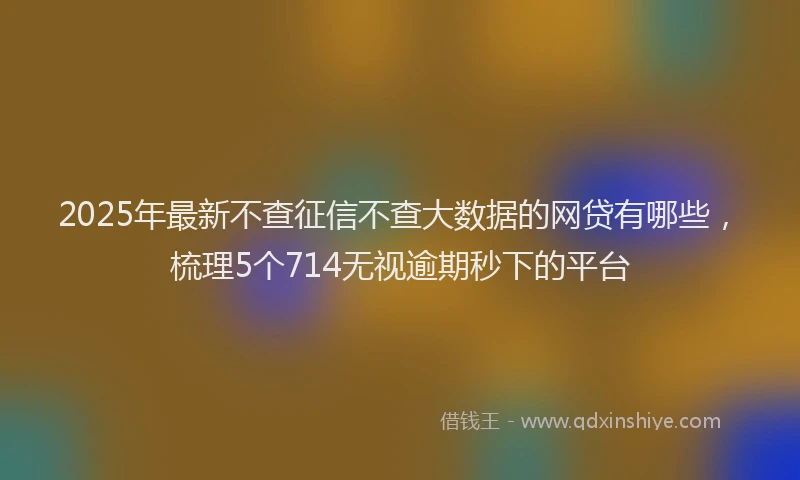 2025年最新不查征信不查大数据的网贷有哪些，梳理5个714无视逾期秒下的平台