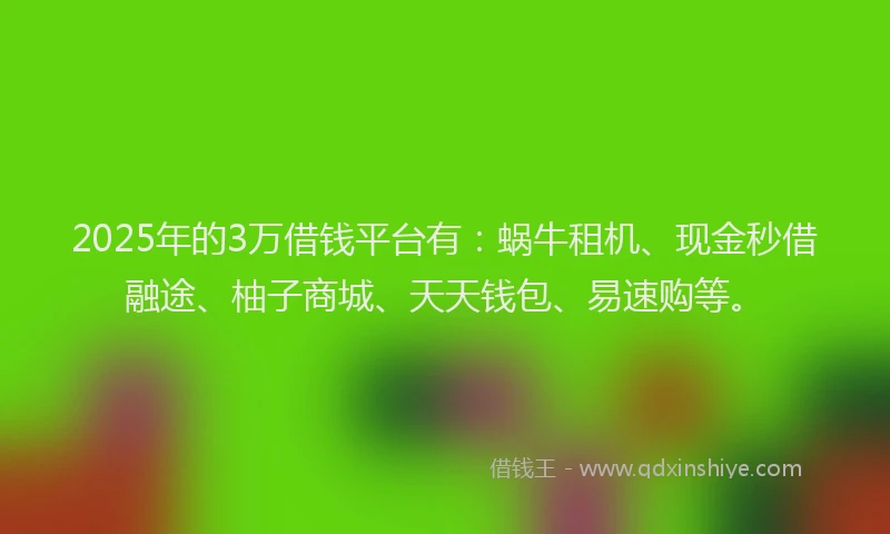 2025年的3万借钱平台有：蜗牛租机、现金秒借融途、柚子商城、天天钱包、易速购等。