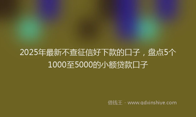 2025年最新不查征信好下款的口子，盘点5个1000至5000的小额贷款口子