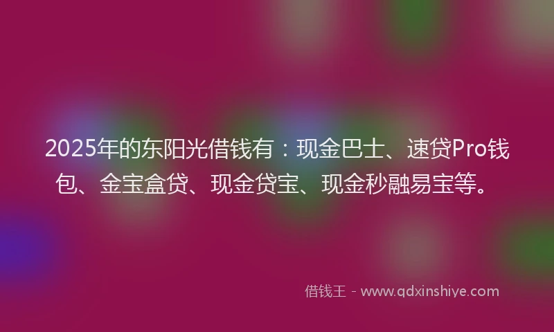 2025年的东阳光借钱有：现金巴士、速贷Pro钱包、金宝盒贷、现金贷宝、现金秒融易宝等。