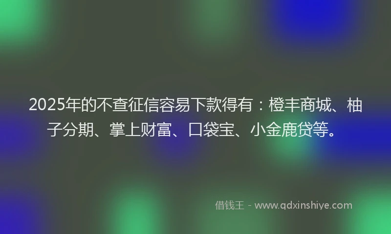 2025年的不查征信容易下款得有：橙丰商城、柚子分期、掌上财富、口袋宝、小金鹿贷等。