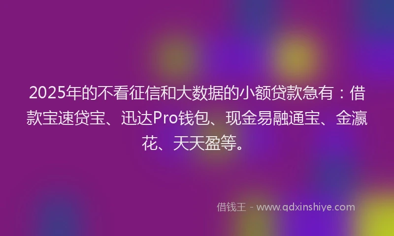 2025年的不看征信和大数据的小额贷款急有：借款宝速贷宝、迅达Pro钱包、现金易融通宝、金瀛花、天天盈等。