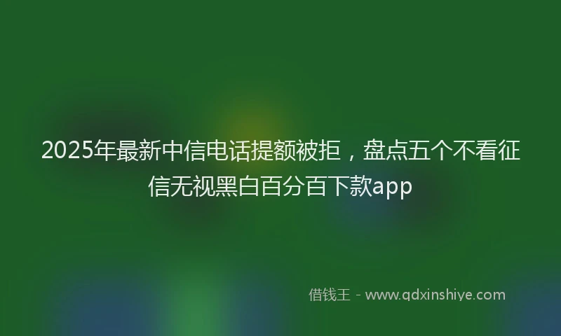2025年最新中信电话提额被拒，盘点五个不看征信无视黑白百分百下款app