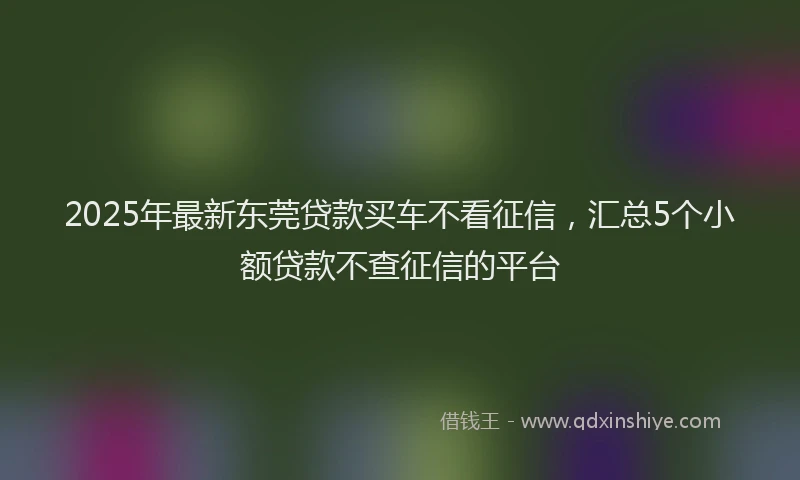 2025年最新东莞贷款买车不看征信，汇总5个小额贷款不查征信的平台