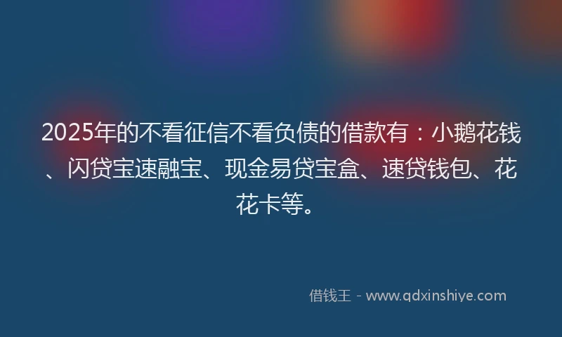 2025年的不看征信不看负债的借款有：小鹅花钱、闪贷宝速融宝、现金易贷宝盒、速贷钱包、花花卡等。