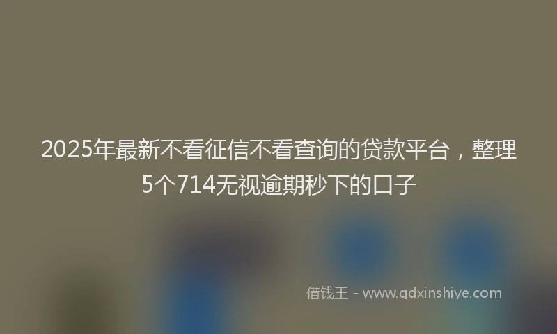 2025年最新不看征信不看查询的贷款平台，整理5个714无视逾期秒下的口子