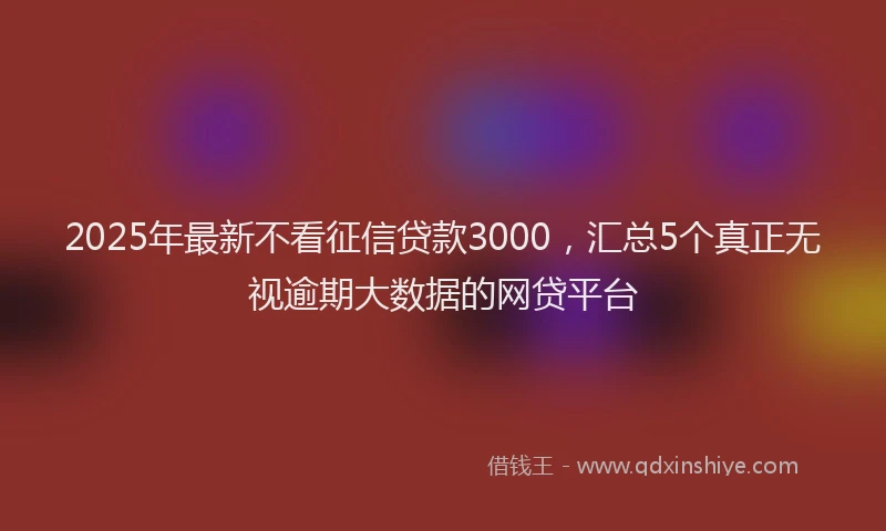 2025年最新不看征信贷款3000，汇总5个真正无视逾期大数据的网贷平台