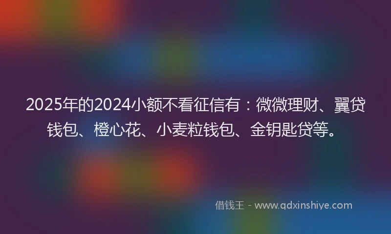 2025年的2024小额不看征信有：微微理财、翼贷钱包、橙心花、小麦粒钱包、金钥匙贷等。
