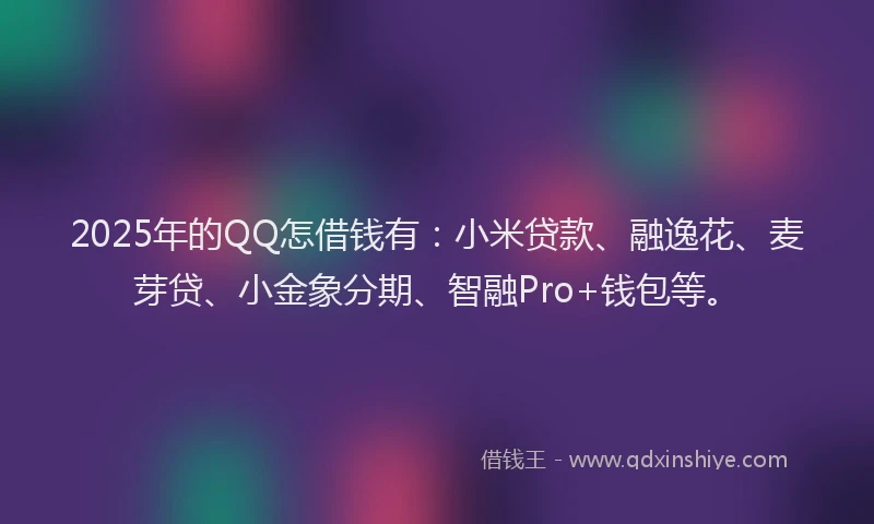 2025年的QQ怎借钱有：小米贷款、融逸花、麦芽贷、小金象分期、智融Pro+钱包等。