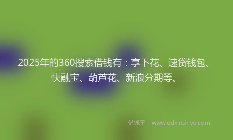 2025年的360搜索借钱有：享下花、速贷钱包、快融宝、葫芦花、新浪分期等。