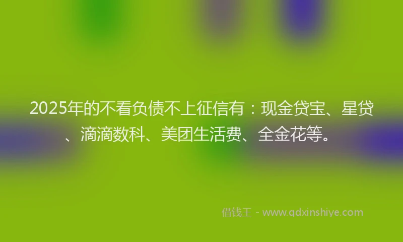 2025年的不看负债不上征信有：现金贷宝、星贷、滴滴数科、美团生活费、全金花等。