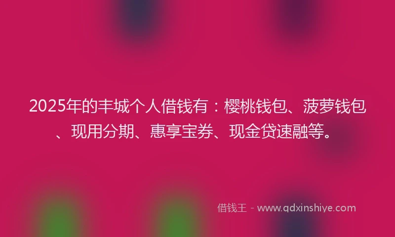 2025年的丰城个人借钱有：樱桃钱包、菠萝钱包、现用分期、惠享宝券、现金贷速融等。