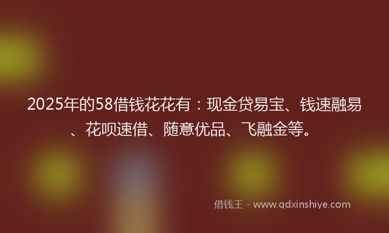 2025年的58借钱花花有：现金贷易宝、钱速融易、花呗速借、随意优品、飞融金等。
