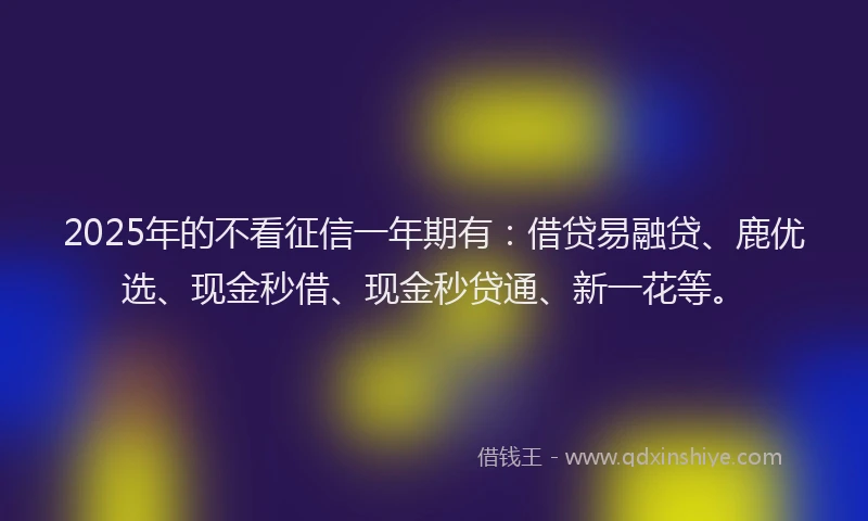 2025年的不看征信一年期有：借贷易融贷、鹿优选、现金秒借、现金秒贷通、新一花等。