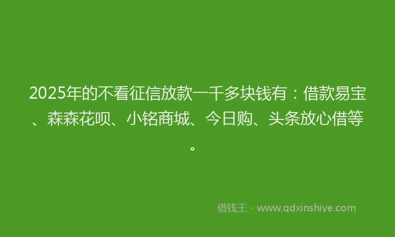 2025年的不看征信放款一千多块钱有：借款易宝、森森花呗、小铭商城、今日购、头条放心借等。
