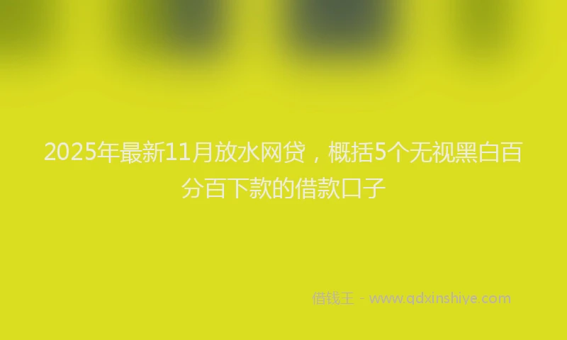 2025年最新11月放水网贷，概括5个无视黑白百分百下款的借款口子