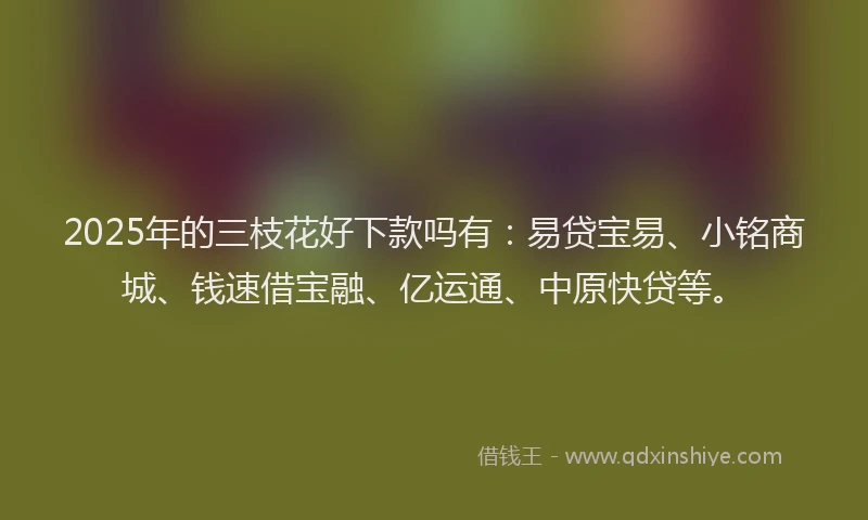 2025年的三枝花好下款吗有：易贷宝易、小铭商城、钱速借宝融、亿运通、中原快贷等。