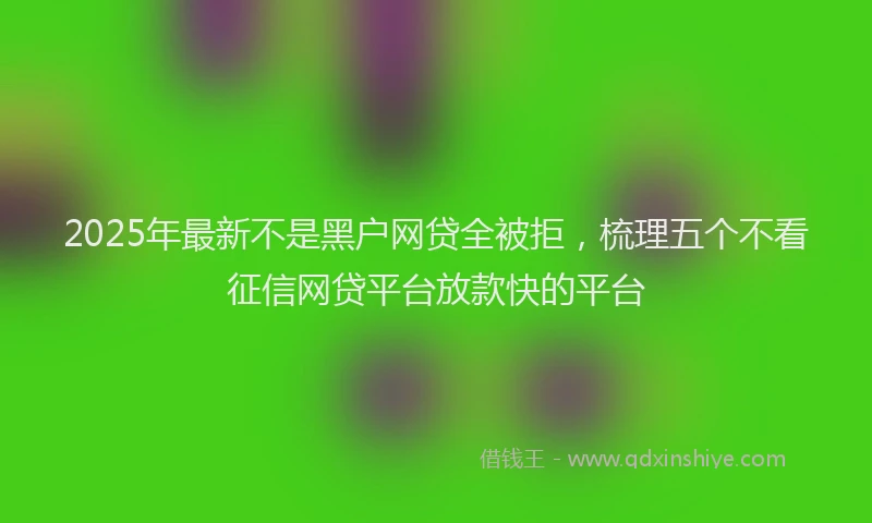 2025年最新不是黑户网贷全被拒，梳理五个不看征信网贷平台放款快的平台