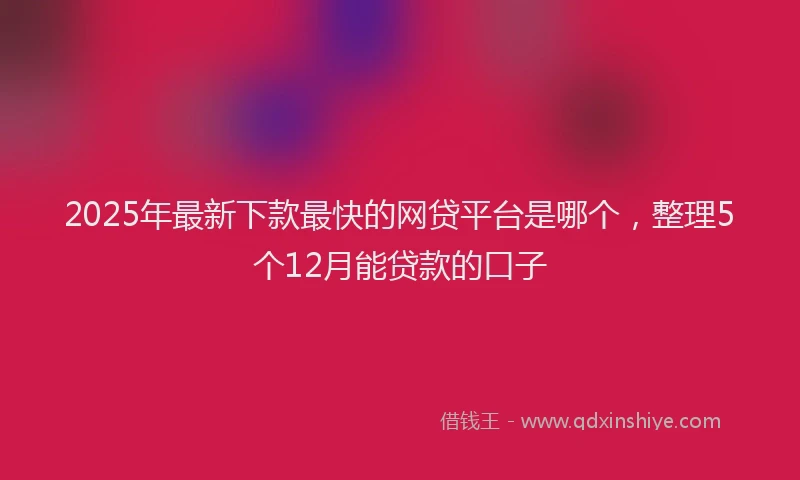 2025年最新下款最快的网贷平台是哪个，整理5个12月能贷款的口子