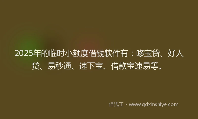 2025年的临时小额度借钱软件有：哆宝贷、好人贷、易秒通、速下宝、借款宝速易等。