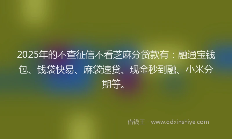 2025年的不查征信不看芝麻分贷款有：融通宝钱包、钱袋快易、麻袋速贷、现金秒到融、小米分期等。